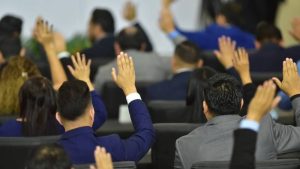 Plenaria- Cancillería-Diputados- # 42