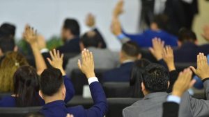 Plenaria- Cancillería-Diputados- # 42