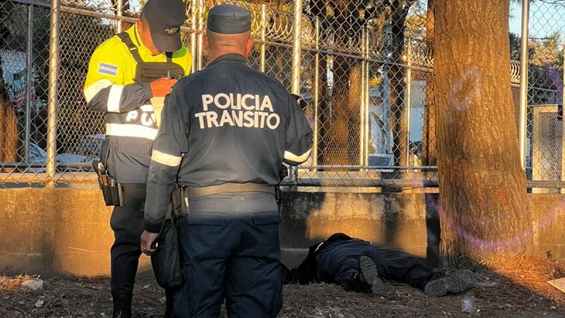 El cuerpo sin vida se encontraba en el arriate a la orilla de la calle. Foto EDH / Cortesía.