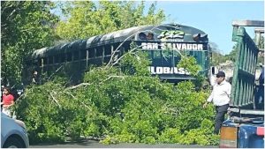 Así quedó la unidad luego de accidentarse. Foto / Cortesía