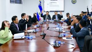 Comisión de seguridad