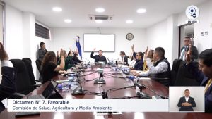 dictamen comision salud