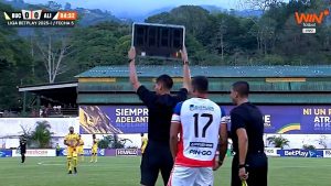 guacamaya futbol colombia video viral