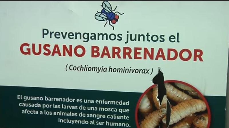 pancarta