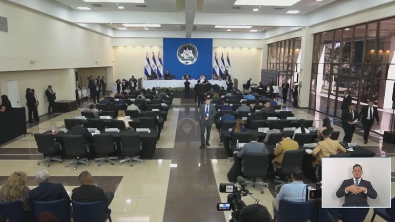 Sesión plenaria 42 de la Asamblea Legislativa. Cortesía