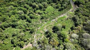 rio grande obstruido