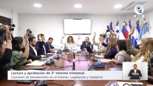 Salvadoreños en el Exterior, Legislación y Gobierno