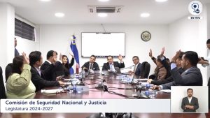 COMISION SEGURIDAD NACIONAL Y JUSTICIA