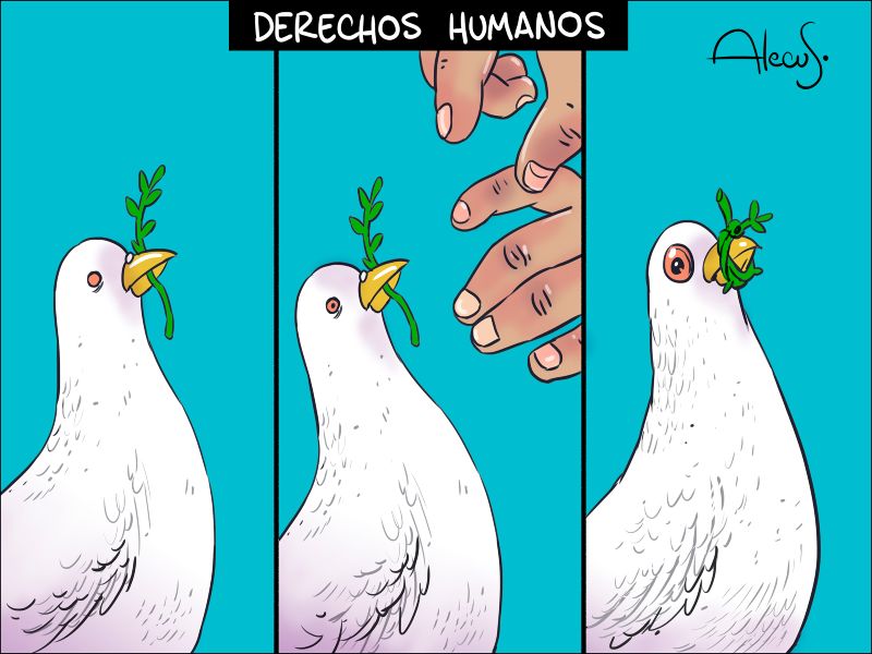 Alecus derechos humanos
