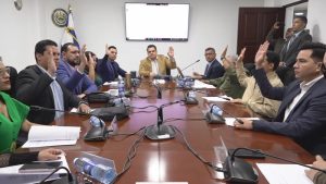 Comisión Seguridad Nacional y Justicia