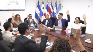 Comision Salvadoreños Exterior