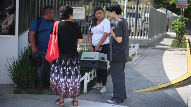 Cierre Chivo Pets Nayib Bukele