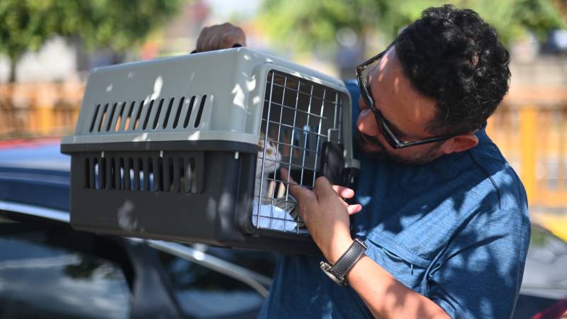 Cierre Chivo Pets Nayib Bukele