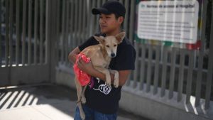 FR Cierre y reapertura de Chivo Pets