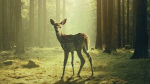 Filme francés sobre Bambi