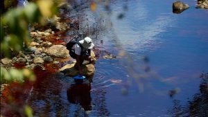 Rio-San-Sebastian-Santa-Rosa-de-Lima--Mineria