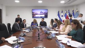 Comision legislacion y gobierno