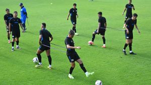 Selecta Entrenos Fesfut