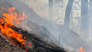 El viento y lo accidentado del paisaje han provocado que el fuego se propague y sea difícil controlarlo. Foto: Gobierno Municipal de Chalatenango Centro