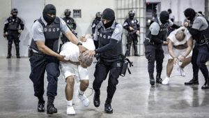 reos-tren-de-aragua-cecot-estado-unidos