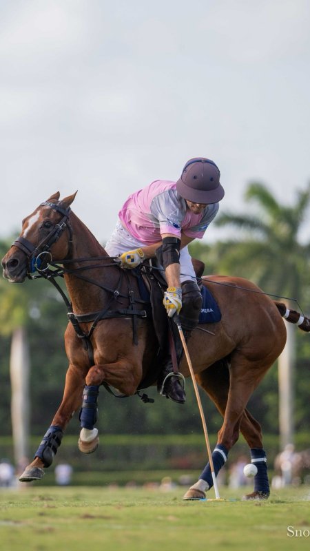 La Dolfina Tamera Alejandro Poma US Polo Championship