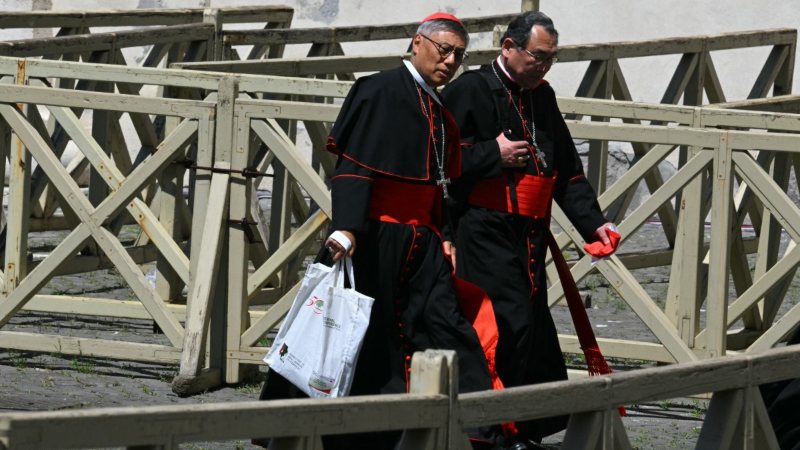 Cardenales conclave Vaticano nuevo Papa