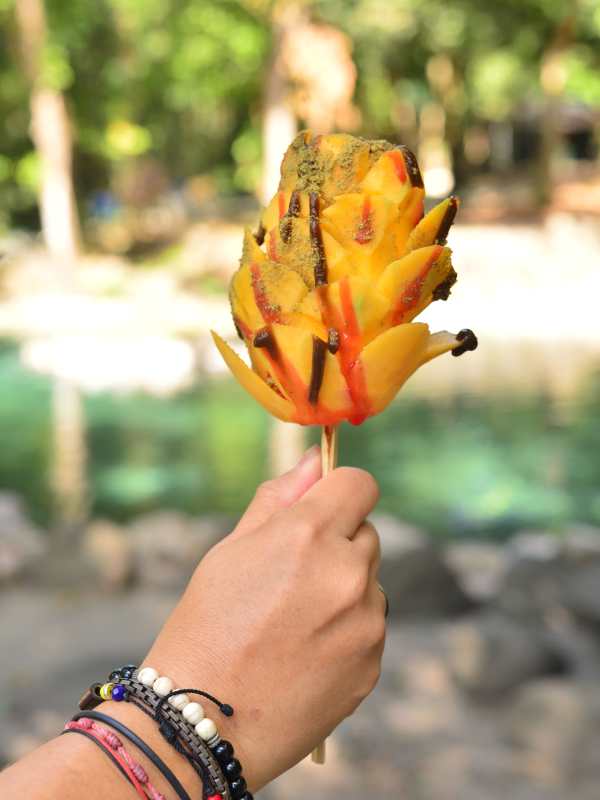 Expo Mango 2025