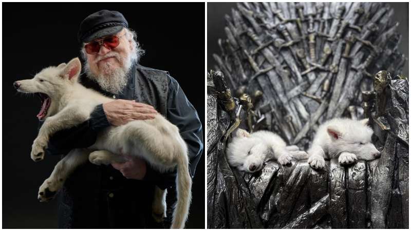 Fotos: imagen de carácter ilustrativo no comercial/ https://x.com/LordSnow/status/1909751421358002333/photo/1/ https://pbs.twimg.com/media/GoBf5BGWwAAWJHc?format=jpg&name=large