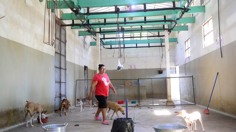 Refugio-de-animales---Ex-albergue-municipal-de-Zacatecoluca