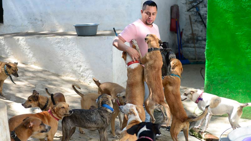 Refugio-de-animales---Ex-albergue-municipal-de-Zacatecoluca
