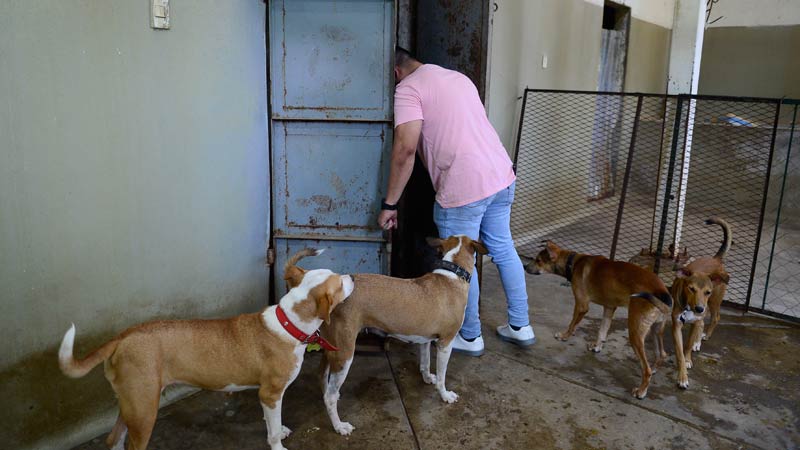 Refugio-de-animales---Ex-albergue-municipal-de-Zacatecoluca