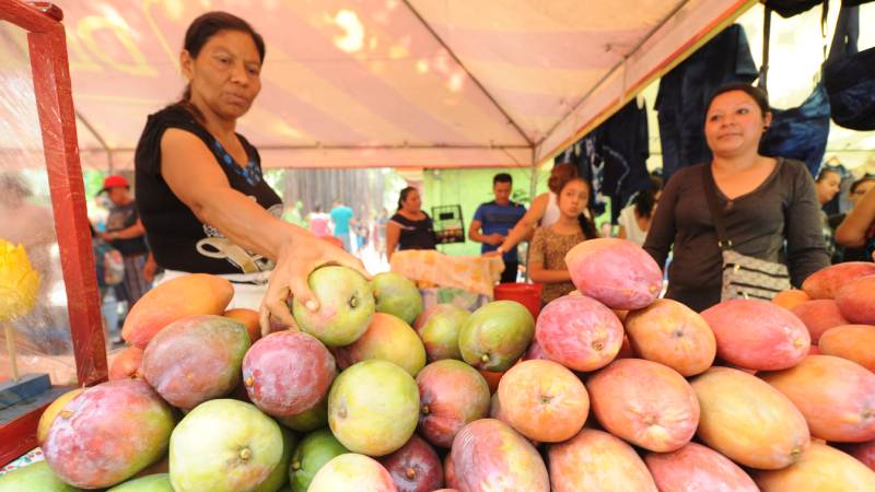 Expo Mango 2025