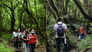 Cinco destinos para hacer turismo de aventura y senderismo en El Salvador