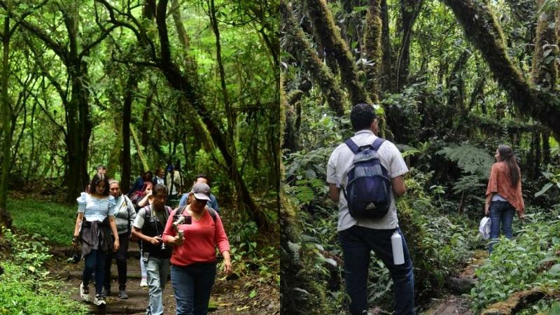 Para los aventureros, en El Salvador existen múltiples bosques y montañas para hacer senderismo. / 