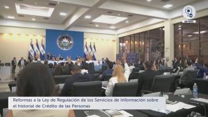 pleno reforma ley historial