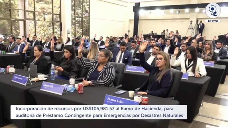 Diputados oficialistas aprobaron la reforma presupuestaria. Foto cortesía