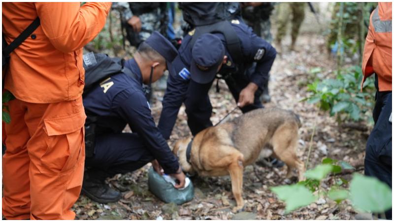 Al volcán se han llevado agentes caninos para que sigan el rastro del profesor. Foto / Cortesía