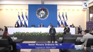 Asamblea plenaria 51