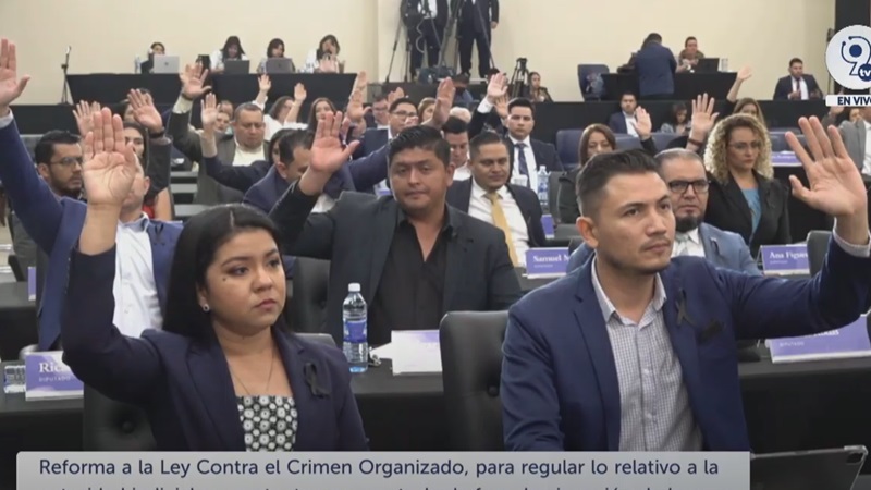 plenaria 50 votacion