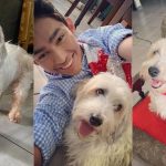 Curly mascota de Fernanfloo