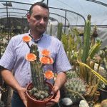 Francisco se dedica a cuidar y reproducir cactus desde hace 34 años. Ahora tiene un vivero en Coatepeque, Santa Ana, donde aloja cientos de especies de cactus de todo tipo y tamaños. El más antiguo tiene 34 años.