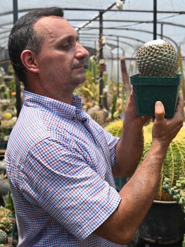 Francisco se dedica a cuidar y reproducir cactus desde hace 34 años. Ahora tiene un vivero en Coatepeque, Santa Ana, donde aloja cientos de especies de cactus de todo tipo y tamaños. El más antiguo tiene 34 años.
