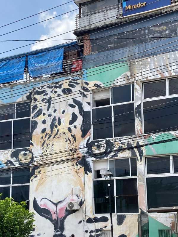 Estado del Mercado Cuscatlán que luce con deterioro