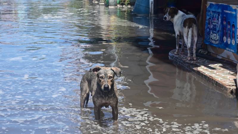 Marea Alta en El Majahual el Puerto de la Libertad, La Libertad.