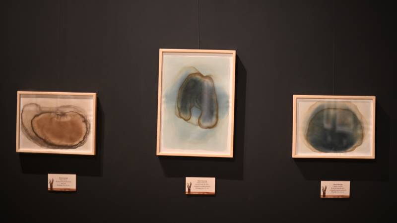 Arte exposición UTEC