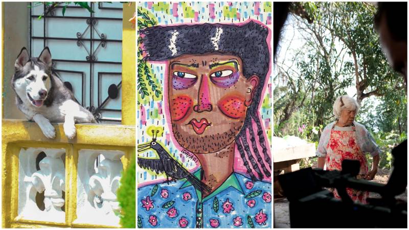 Fotografía de Kevin Santos (i), ilustración de Ivette Guardado y documental 