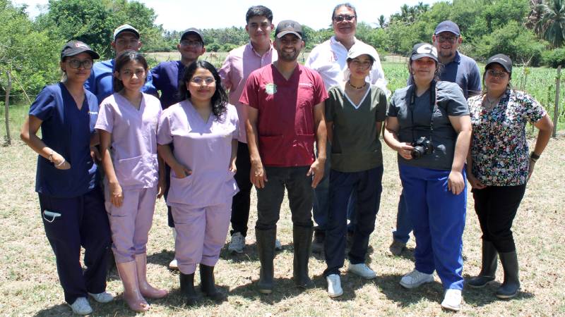 Gusano-Barrenador-Ahuachapán- Animales-Investigadores-UES