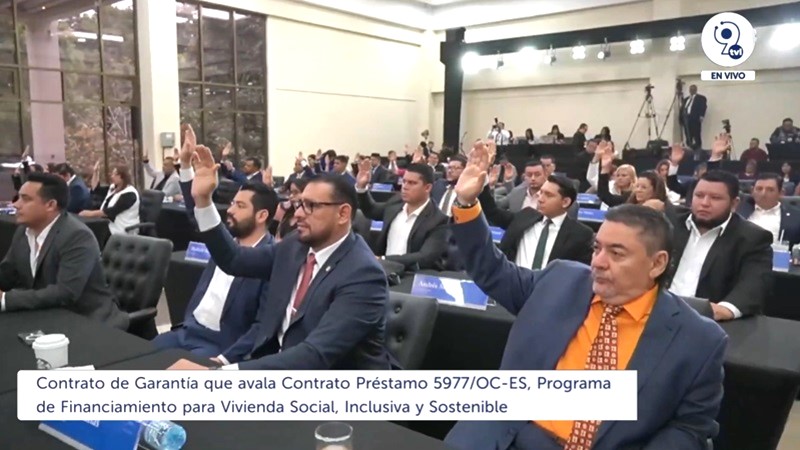 Plenaria 54 asamblea