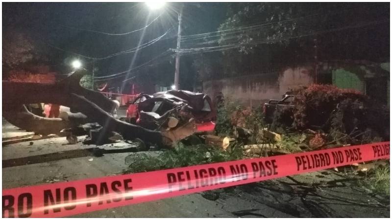 El paso fue cerrado mientras retiraban los escombros. Foto / Cortesía Comandos de Salvamento