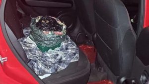 El paquete de marihuana se encontraba en el asiento trasero del carro. Foto EDH / Cortesía PNC.
